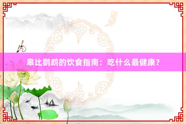 皋比鹦鹉的饮食指南:吃什么最健康?