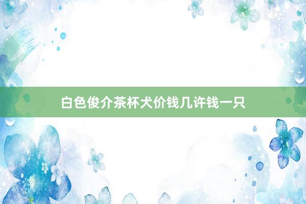 白色俊介茶杯犬价钱几许钱一只