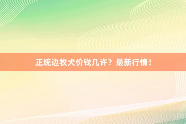 正统边牧犬价钱几许？最新行情！